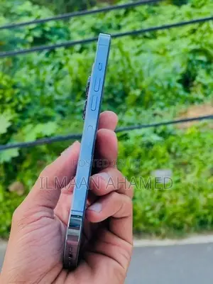 Apple iPhone 13 Pro 256GB (Used)