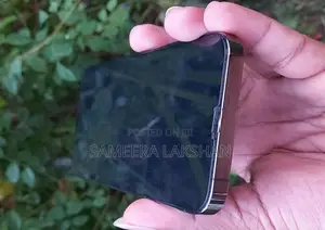 Apple iPhone 13 Pro (Used)