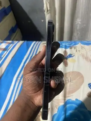 Apple iPhone 13 Pro Max (Used)