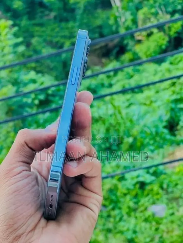 Apple iPhone 13 Pro 256GB (Used)