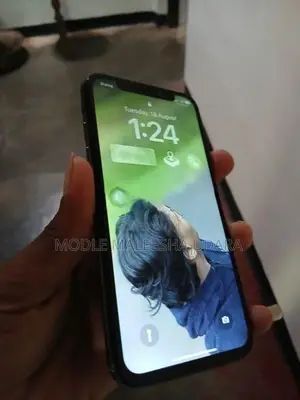 Apple iPhone X (Used)