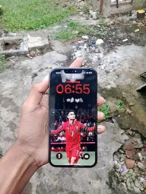 Apple iPhone 13 Pro (Used)
