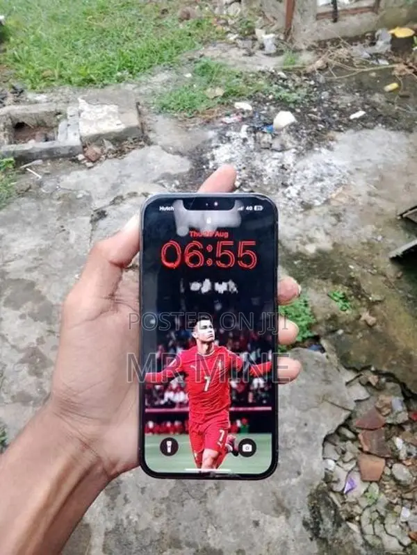 Apple iPhone 13 Pro (Used)