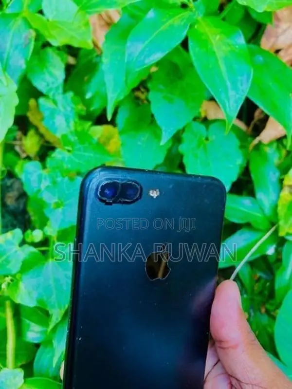 Apple iPhone 7 Plus (Used)