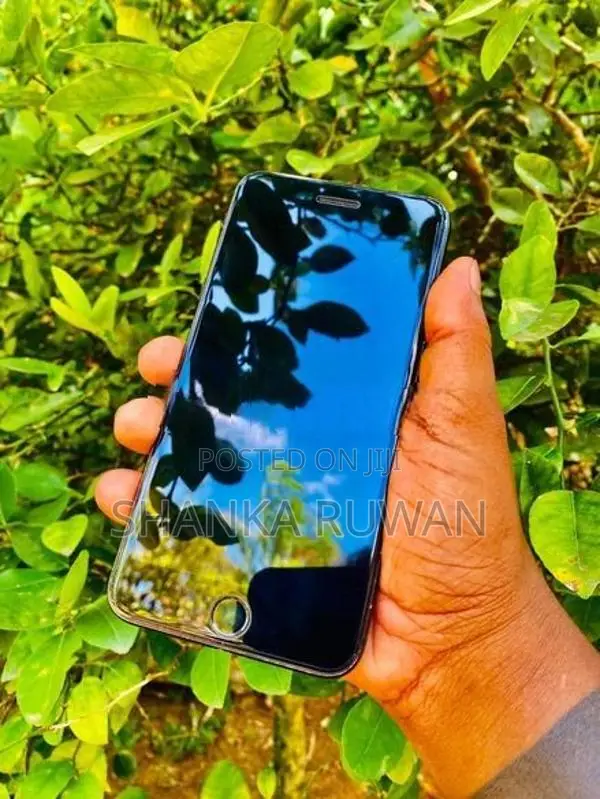 Apple iPhone 7 Plus (Used)