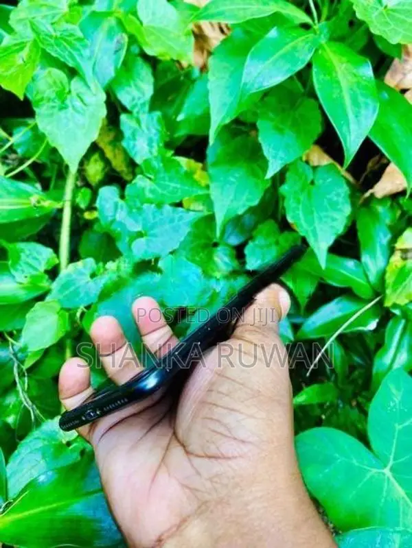 Apple iPhone 7 Plus (Used)