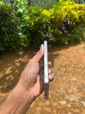 Apple iPhone 15 Pro Max 256GB Parts (Used)