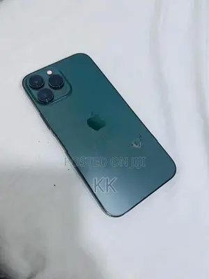 Apple iPhone 13 Pro Max 128GB (Used)