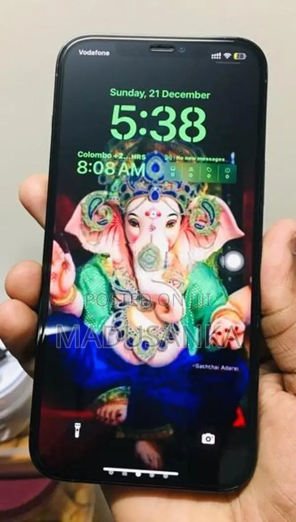 Apple iPhone 12 Pro Max (Used)