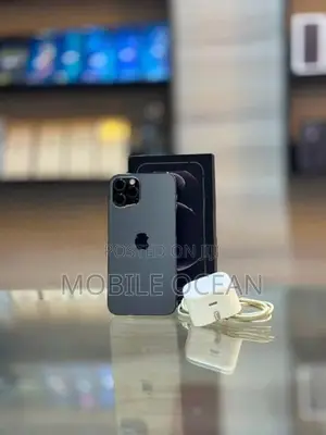 Apple iPhone 12 Pro 256GB (Used)