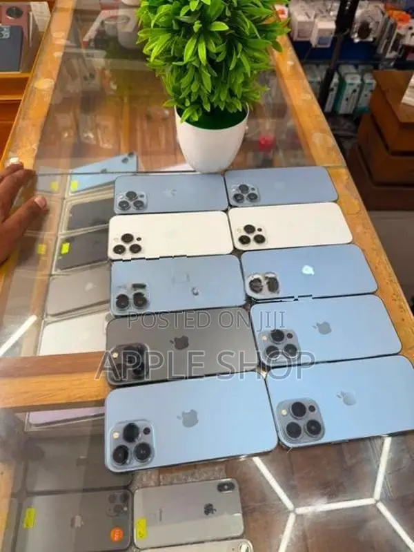 Apple iPhone 13 Pro 256GB (Used)