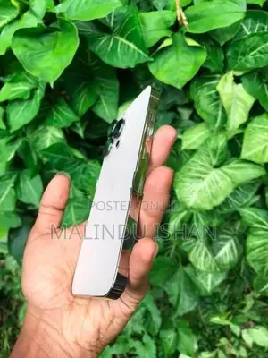 Apple iPhone 13 Pro 128GB (Used)