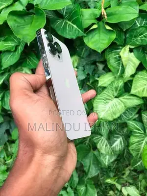 Apple iPhone 13 Pro 128GB (Used)