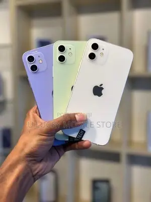 Apple iPhone 12 (Used)