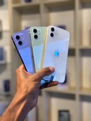 Apple iPhone 12 (Used)
