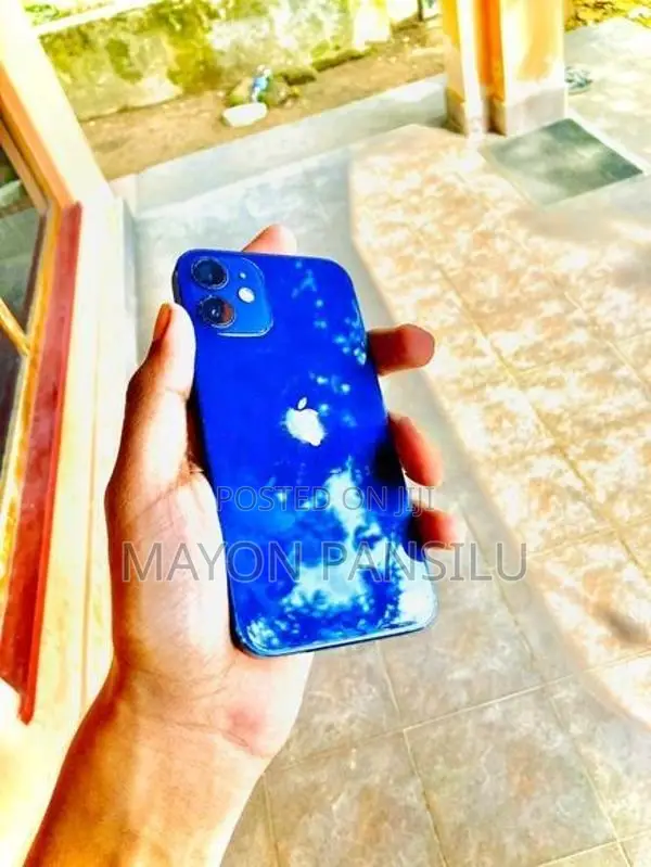 Apple iPhone 12 mini (Used)