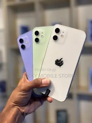 Apple iPhone 12 (Used)