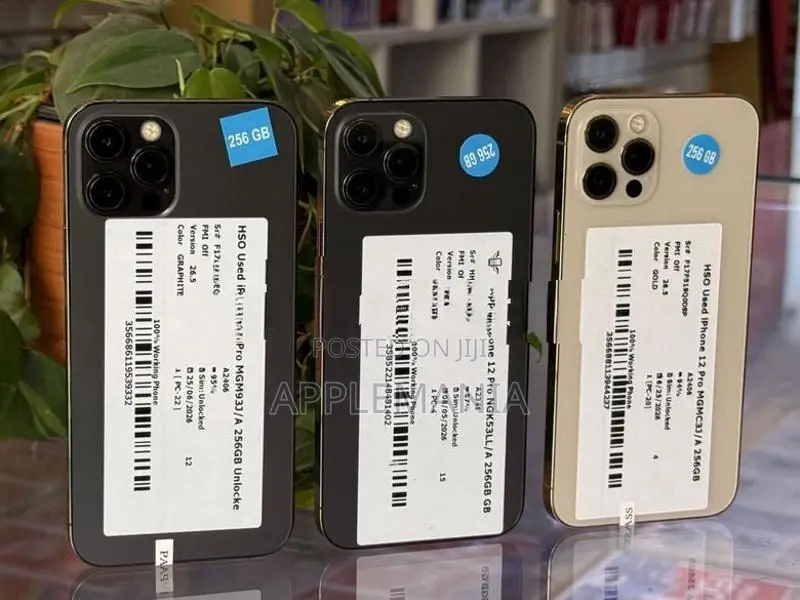 Apple iPhone 12 Pro 256GB (Used)