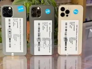 Apple iPhone 12 Pro 256GB (Used)