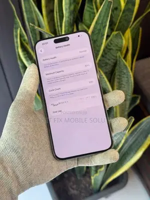 Apple iPhone 15 Pro Max 256GB (Used)