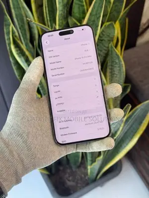 Apple iPhone 15 Pro Max 256GB (Used)