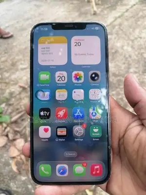 Apple iPhone 12 Pro Max 256 (Used)