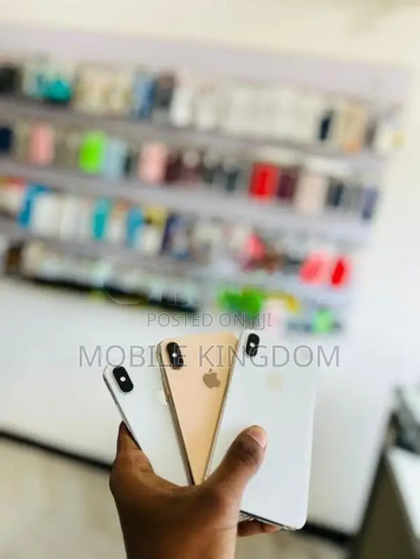 Apple iPhone XS Max 256GB (Used)