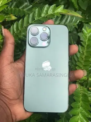 Apple iPhone 13 Pro (Used)