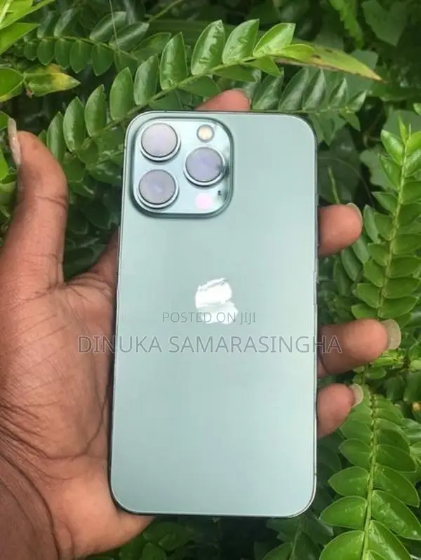 Apple iPhone 13 Pro (Used)