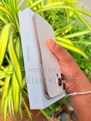 Apple iPhone 16 Pro Max 256Gb (Used)