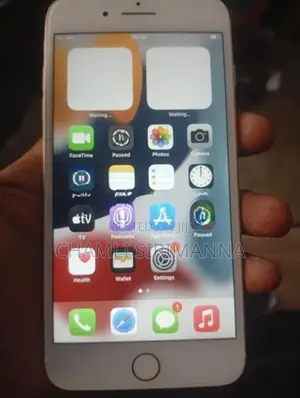 Apple iPhone 7 Plus (Used)