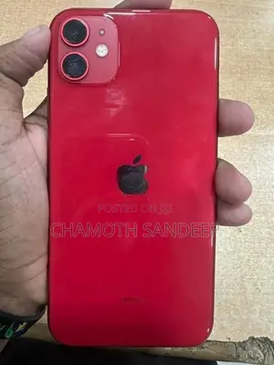 Apple iPhone 11 (Used)