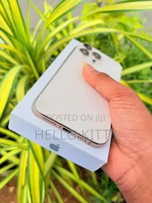 Apple iPhone 16 Pro Max 256Gb (Used)
