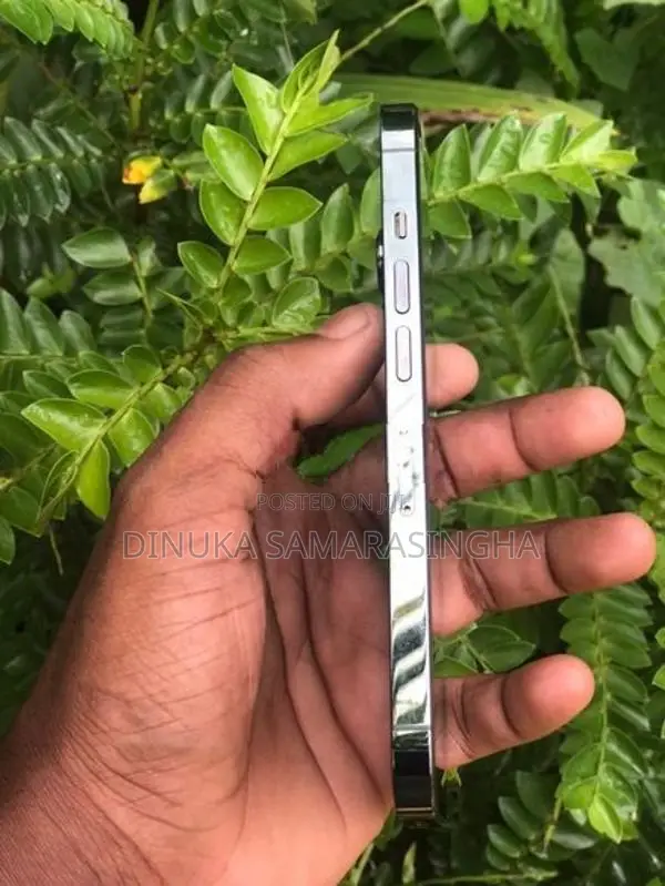 Apple iPhone 13 Pro (Used)