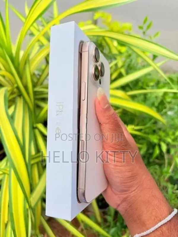 Apple iPhone 16 Pro Max 256Gb (Used)