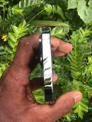 Apple iPhone 13 Pro (Used)