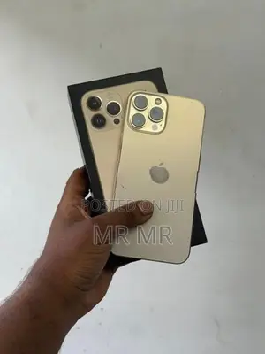 Apple iPhone 13 Pro Max 256GB (Used)
