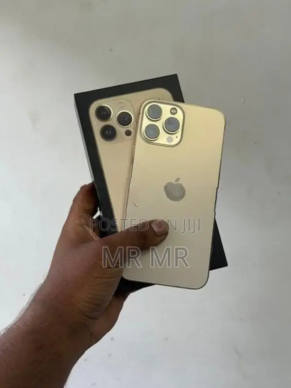 Apple iPhone 13 Pro Max 256GB (Used)
