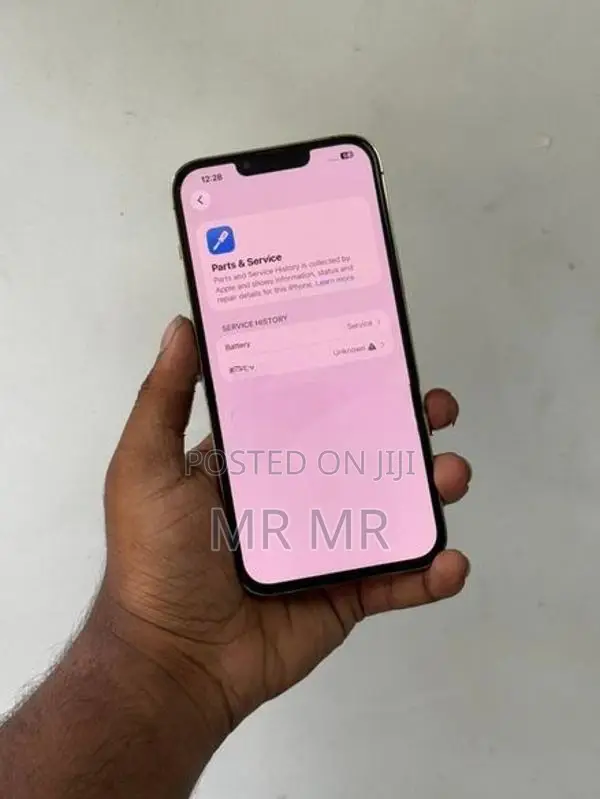 Apple iPhone 13 Pro Max 256GB (Used)