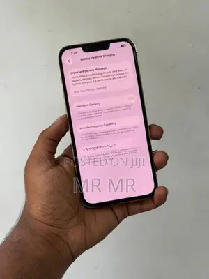 Apple iPhone 13 Pro Max 256GB (Used)