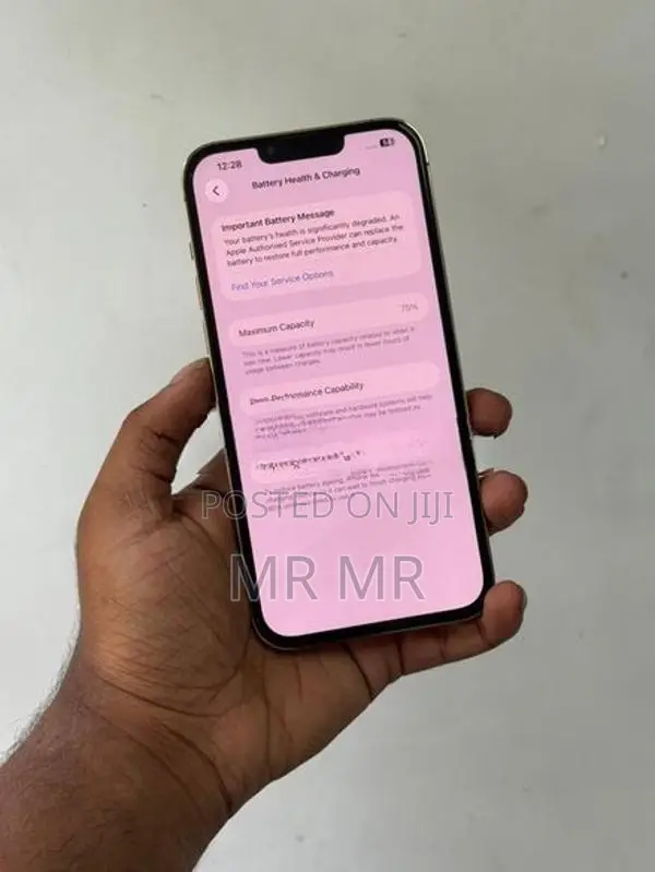 Apple iPhone 13 Pro Max 256GB (Used)