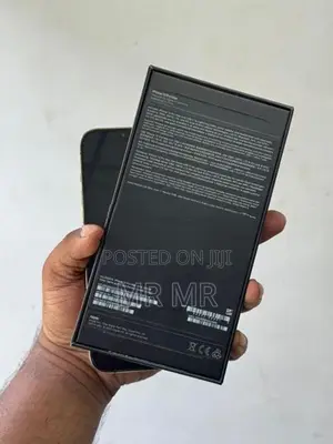 Apple iPhone 13 Pro Max 256GB (Used)