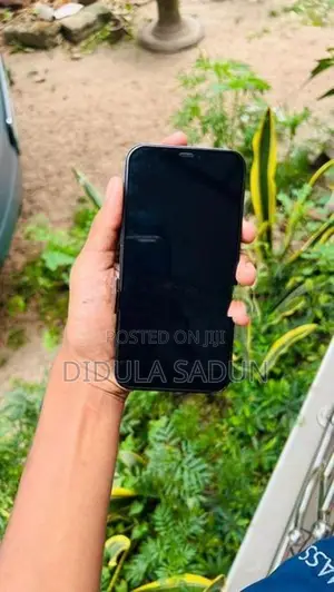 Apple iPhone 12 Pro (Used)
