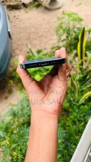 Apple iPhone 12 Pro (Used)