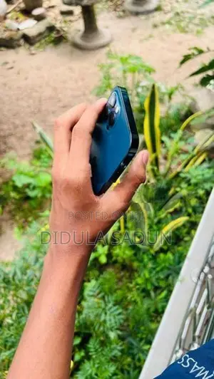 Apple iPhone 12 Pro (Used)