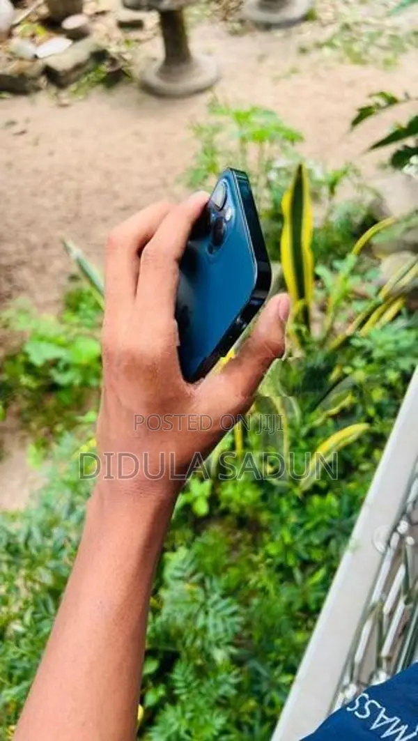 Apple iPhone 12 Pro (Used)