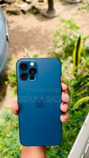 Apple iPhone 12 Pro (Used)