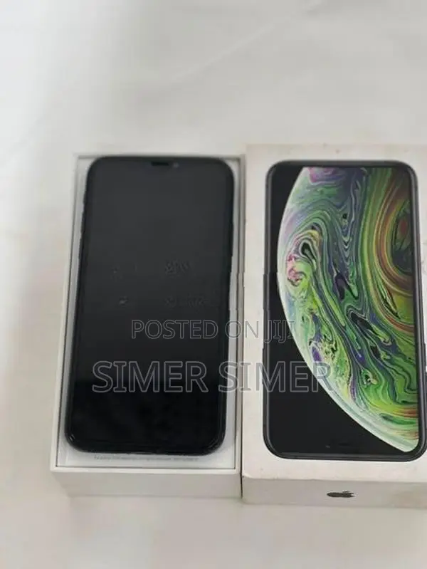 Apple iPhone XS 256Gb (Used)