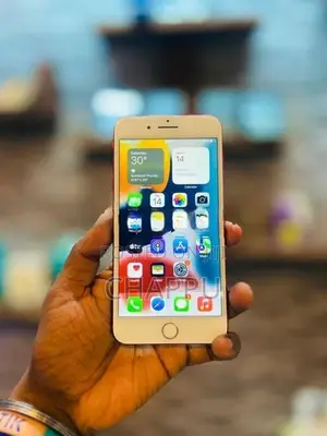 Apple iPhone 7 Plus (Used)
