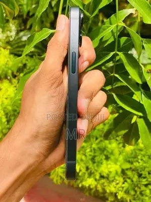 Apple iPhone 13 (Used)